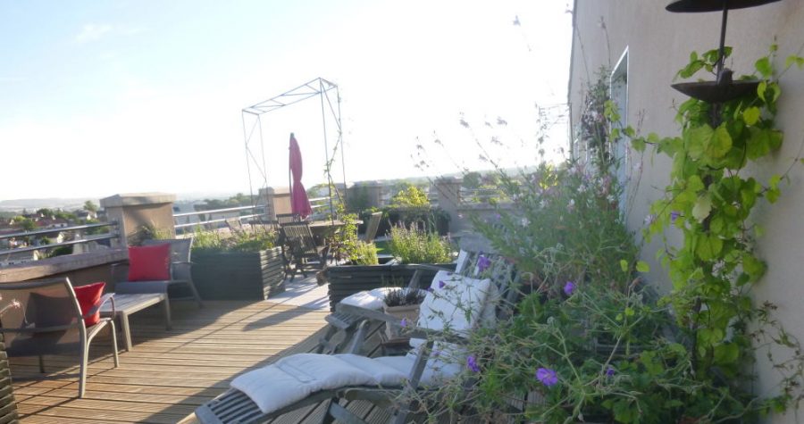design de terrasse au soleil