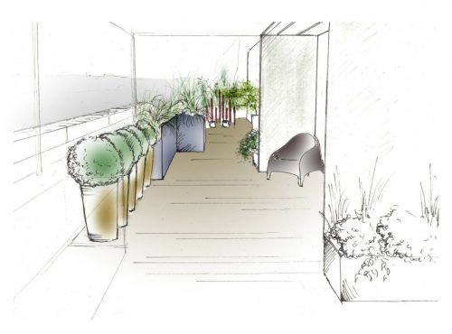croquis plan terrasse jardin