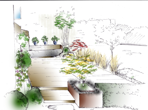 croquis jardin plan bordeaux