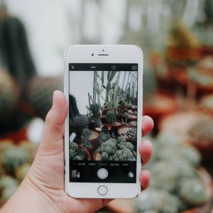 Suivi de projet conception de jardin par telephone