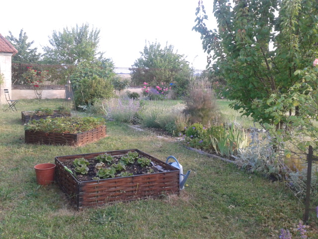 potager en carrés aménagement